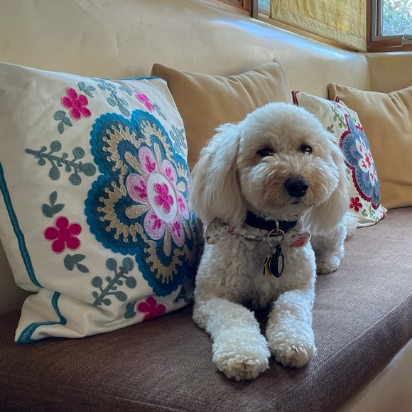 Meet your Posher, Andrew - Picture 1 of 1